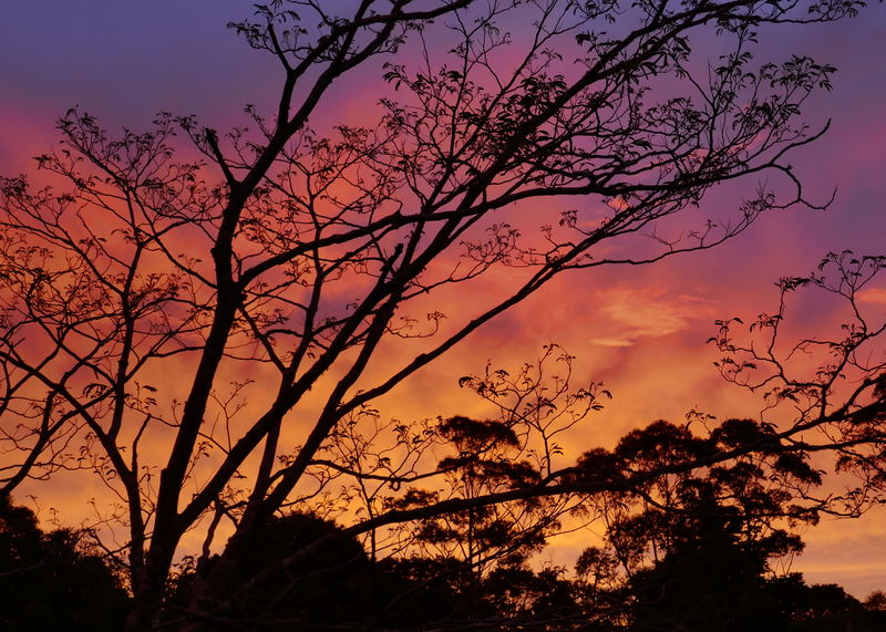 Spectacular sunset over the property