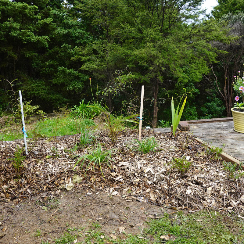 First bit of garden completed - adjacent to the back deck.